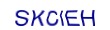 simple_captcha.jpg